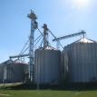 Grain System with GSI Top Dry